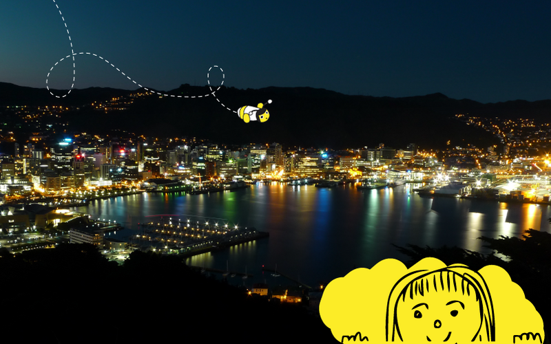 Wellington V2 Web